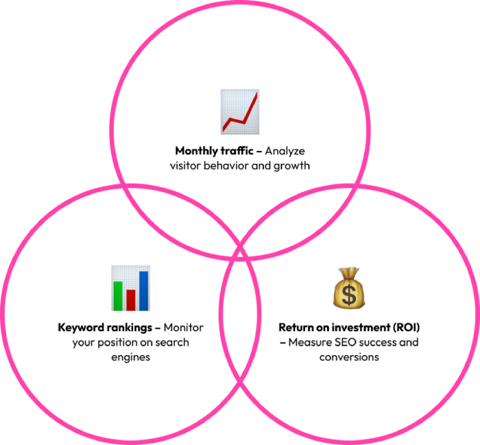 SEO Agency